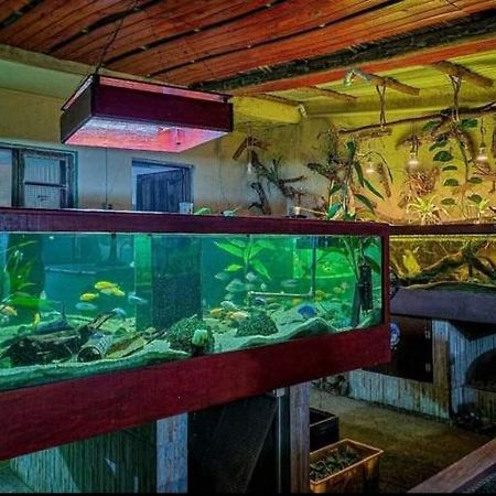 Recanto Villas Boas Ubatuba Bagian luar foto