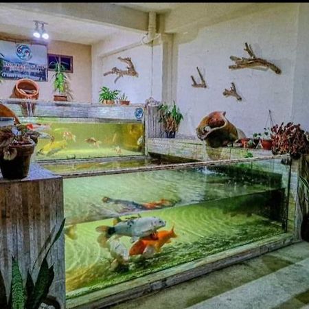 Recanto Villas Boas Ubatuba Bagian luar foto
