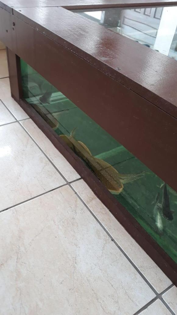 Recanto Villas Boas Ubatuba Bagian luar foto